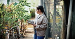 Woman, inspection and cannabis at farm with tablet, examine leaves and research for typing report. Agriculture, person and plant evaluation outdoor with tech, marijuana production or online checklist