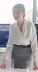 Woman, presentation and meeting with team for real estate project or 3D construction in office. Female person, speaker or discussion with group for architecture planning or building development