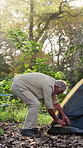 Nature, camping and senior man with tent in woods for holiday, getaway or weekend trip with set up. Explore, equipment and elderly male person with outdoor shelter for vacation or travel in forest.