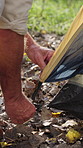 Nature, camping and hands of man with tent in woods for holiday, getaway or weekend trip with set up. Explore, equipment and male person with outdoor shelter for vacation or travel in forest.