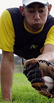 Baseball, sports and man on field with catch in game, match and tournament for outdoor competition. Team, fitness and person with glove, ball and dive for training, practice and playing in stadium