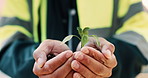 Growth, plant and hands of construction worker on site for sustainability, eco friendly or agro. Agriculture, man and civil engineer with green leaf in soil for spring, botany or hope outdoor.