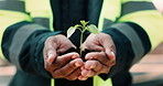 Eco friendly, plant and hands of construction worker on site for sustainability, sprout or agro. Agriculture, man and civil engineer with green leaf in soil for spring, botany or hope outdoor.