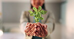 Plant, hands and business person with eco friendly proposal, company growth or green offer in office. Employee, nurture and productivity boost with sapling for environment, wellness or sustainability