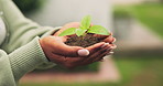 Nature, soil and hands of woman with plant for conservation, earth day and sustainability outdoor. Growth, sprout and person with seedling in fertilizer for eco friendly, environment and ecology
