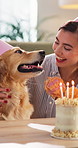 Woman, dog and birthday cake in house with candles, bonding together and pride for pet milestone. Happy person, Golden Retriever puppy and celebration in lounge with companion, dessert and party hat.