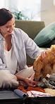 Woman, dog and toy by luggage for travel, vacation or trip with companion, pet friendly and house. Happy person, suitcase and animal in home with stroke, smile or clothes for holiday together
