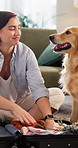 Woman, dog and packing luggage for travel, vacation or trip with companion, pet friendly and toy in house. Happy person, suitcase and animal in home with stroke, smile or clothes for holiday together