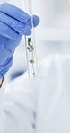 Vial, hands and scientist with plants in petri dish in laboratory with medical research or study. Woman, glass cylinder and biologist with herb for pharmaceutical innovation, test or drug trial.