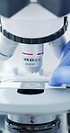 Scientist, hands and slide sample with microscope, medical research or experiment for pathology in lab. Clinic, person and healthcare study with equipment for biotech, disease diagnostics or science.