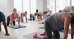 Transform your being through yoga