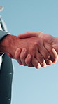 Meeting, introduction or business people with handshake for recruitment deal, b2b or partnership, Blue sky, employees or shaking hands with agreement for onboarding process, hiring or job opportunity