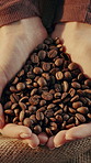 Hands, roasted and coffee beans with woman for harvest, production and textures for caffeine. Above, person and arabica granules for manufacturing process, premium grains and plantation ingredients