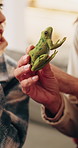 Hands, toy and grandmother with child on sofa for bonding, connection and relationship for development. Family, home and kid with frog, talking and learning animals with grandma on weekend together