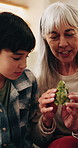 Animal, toy and grandmother with child on sofa for bonding, connection and playful relationship. Family, happy and boy in home with frog, high five and learning with grandma on weekend together