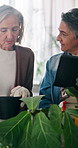 Horticulture, maintenance or friends in home with tablet, support or growth tips in online manual. Botanical, help or mature women with plant pot, care advice or digital guideline in hobby together.