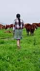 Agriculture, woman or cow inspection with clipboard for herd management, health or livestock update. Agribusiness, back or farmer with checklist in field for cattle farming, yield records or tracking