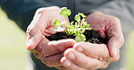 Hands, soil and man outdoor with sprout for earth day, sustainability and environmental care. Growth, nature and person with plant for climate change support, conservation and eco friendly charity