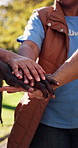 Nature, team and volunteers with stack of hands for solidarity, support or connection at NGO. People, collaboration and group of charity workers with celebration for community, bonding or outdoor.