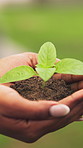 Botany, dirt and hands of woman with plant for conservation, accountability or sustainability outdoor. Growth, sprout and person with seedling in soil for eco friendly, environmental care or ecology