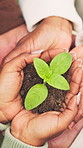 Above, family and hands with plant for growth, conservation and nurture together for sustainability. People, leaves and soil with responsibility for environment protection, nature or go green project