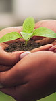 People, hands and plant outdoor with growth, conservation and nurture together for sustainability. Friends, leaves and soil with responsibility for environment protection, nature or go green project.