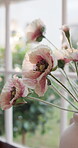 Window, flowers and home decor for interior design, floral bouquet and fresh display in vase. Plant, sunshine and natural bunch or poppy for fragrance, aesthetic and hospitality in rental house