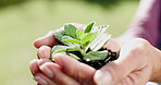 Hands, soil and senior person with sprout for savings, pension investment and growth for retirement. Outdoor, nature and elderly woman with plant for insurance, sustainability or care for future plan