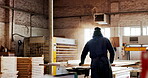 Carpentry, machinery and process with man in workshop for production or manufacturing career. Creative, design and professional with back of person in woodworking factory for furniture industry