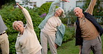 Stretching, happy and fitness with senior group outdoor with coach for aerobics, balance or health. Elderly women, men and exercise with retirement community, wellness and laugh for workout in nature