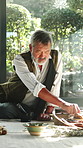 Old man, healer and reading with herbs for ritual, scripture and herbal medicine for holistic healing. Senior person, document and recipe in home with plants, aromatherapy guide and indigenous remedy
