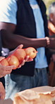 Volunteers, hands and people with groceries for charity, food drive and outreach program for non profit. Outdoor, team and men with women with donations for aid, help and package for ngo service
