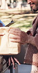 Hands, volunteer and food drive for homeless at park for poverty relief, meal support and charity. Community outreach, poor person and NGO with nutrition package for giving back, human dignity or aid