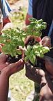 Gardening, teamwork and hands with plants in nature, volunteers or solidarity for community service. Above, gardener and collaboration for green development, growth and people with leaves at park