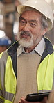 Logistics, discussion and manager with tablet, task brief and order backlog at warehouse. Flare, man or mature depot supervisor with tech, delivery coordination or operation plan in supply chain.