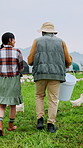 Agriculture, chicken and couple with bucket on farm for feeding, flock management or talking. Free range, back and people with agribusiness, poultry industry and farmer discussion for egg production