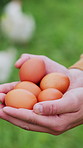 Hands, farming and person with eggs for sustainability, organic and protein from livestock. Agriculture, natural food and poultry farmer with free range product outdoor in nature at countryside.