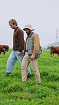 Agriculture, men and conversation with walk on cow farm for herd health, monitor growth or inspection. Diary industry, farmer or agro team with chat for milk production, livestock update or planning
