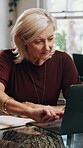 Small business, entrepreneur and woman with laptop, online and inventory management with info on web. Startup, budget and mature person with technology for financial report, writing and research