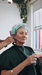 Woman, hairdresser and rollers in salon for treatment, styling hair or gossip with talking. Mature client, stylist and curlers in beauty parlor with discussion, pamper day or maintenance for haircare