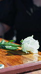 Flower, funeral and people by casket at graveyard for remembrance, mourning or grief service. White rose, outdoor memorial and support at cemetery for burial ceremony for loss, sympathy or respect