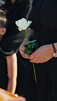 Flower, funeral and hands of person by casket at graveyard for remembrance, mourning or grief service. White rose, memorial and support at cemetery for burial ceremony for loss, sympathy or respect