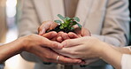 Team, hands and soil with plant in office for eco investment, seed funding project and ESG. Finance investors, people and sprout for green bonds, sustainable business practice or development at work