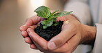 Person, hands or soil with plant in office for green investment, financial return or ESG project. Night, finance investor or sprout at company for eco friendly initiative, sustainable funds or growth