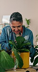 Maintenance, plants or woman in house with review, soil upkeep or gardening care in horticulture. Houseplants, growth or mature person with pot, greenery management or cultivation in botanical hobby.
