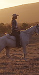 Sunset, woman or cowgirl horse riding in countryside with hat, companion or journey outdoor together. Calm, female person and adventure in rural field with stallion, movement or animal care in Texas.