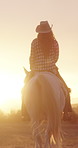 Back, woman and horse riding in field with sunset, loyal companion or bonding together on adventure. Evening, person or cowgirl travel outdoor in countryside with stallion, connection or animal care.