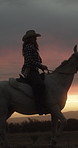 Sunset, woman and horse riding in countryside with reins, companion or bonding together on adventure. Evening, person or cowgirl travel outdoor in field with stallion, control or animal care in Texas