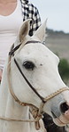Woman, horse or outdoor ride in nature for travel, adventure or trip on farmland in countryside. Cowgirl, female person or rider with white stallion for movement, bonding or animal care in wilderness