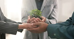 People, hands and support with plant in office for eco investment, seed funding project or ESG. Finance investors, team or sprout in soil for green bonds, sustainable business practice or development